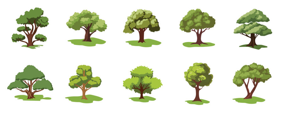 Cartoon tree vector set, collection of trees image with dense green leaves, natural tree plant design element for forest or garden
