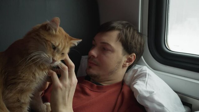 Young man lies on train seat, interacting with his orange cat, who is captivated by smartphone. Pet owner is traveling with his furry friend the cat.