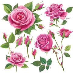 Pink Rose Parade Clipart Collection on white background