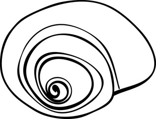 Seashell on transparent background.