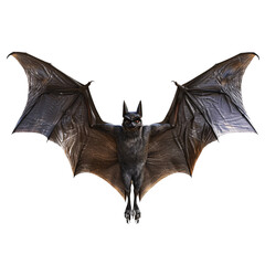bat element_hyperrealistic_hyper detailed_isolated on transparent background