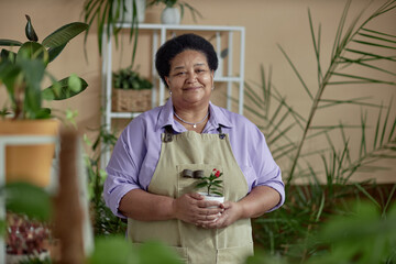Waist up portrait of African American senior woman holding green plant and smiling at camera wearing apron while enjoying gardening indoors, copy space