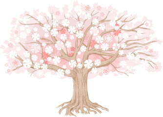 Cherry or apple tree in bloom. Large hand-drawn illustration can be used as a background and as a design element.