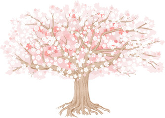 The cherry tree blooms with pink flowers. Large hand-drawn illustration can be used as a background and as a design element.