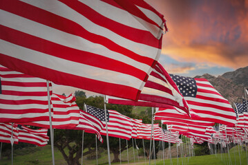 American flags flutter in the wind, rows create red, white, and blue pattern. Orange and purple...