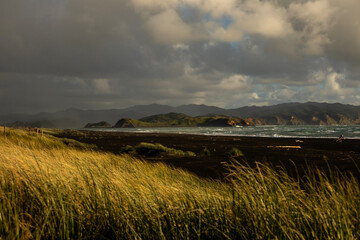 Kawhia Hot Water Beach New Zealand