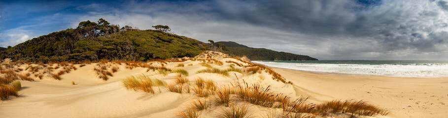 New Zealand Beach Panorama