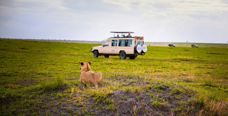 Private Game drive tour, National Park Masai Mara, Kenya, Africa