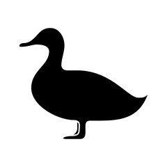 duck solid icon vector in trendy style