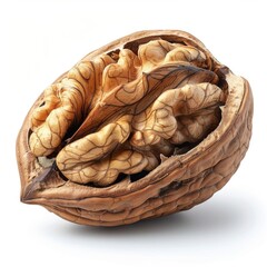 a walnut shell with a walnut kernel in it