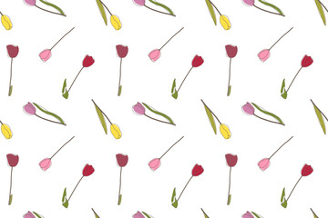 Vector floral seamless pattern with pink, red and yellow tulips on a white background.