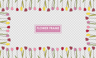 Frame of yellow and pink hand-drawn tulips isolated on a transparent background. Floral vector frame.