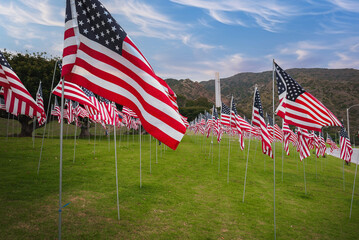 American flags on poles in field with rolling hills in background, possibly in California....
