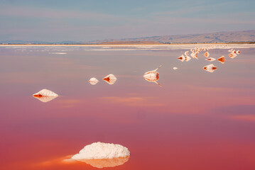 Serene scene at Alviso Pink Lake Park, California. Pink water, white salt formations, clear sky,...