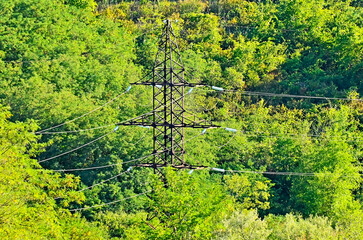 High voltage transmission line in forest