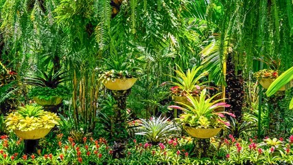 Vibrant tropical botanical garden features lush palm trees, cascading ferns, and elevated planters...