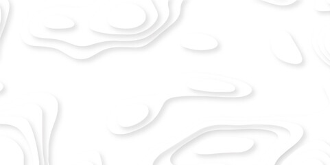White paper art design. Vector paper cut illustration, White and grey curves wave lines background texture, web design
