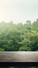 wooden bench in the forest, background