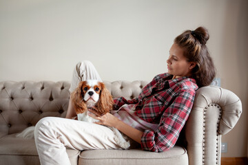 Beautiful woman sits with Spaniel dog in a bright apartment in light interior, relax on the sofa