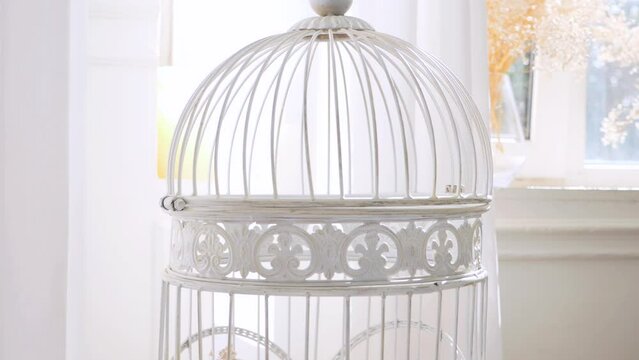 A white birdcage on a table by the window. A delicate birdcage bathed in sunlight. Vintage birdcage on display near window. Elegant white birdcage against window backdrop. Simple birdcage resting on w
