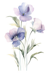 Three purple flowers with white centers and yellow stamen. The flowers are on a single stem with green leaves. The image is on a transparent background.