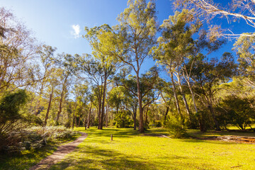 Pound Bend Reserve in Melbourne Australia