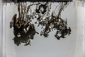 trickles, curls, figures and waves of falling black ink in a transparent glass jar	
