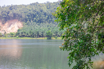 The blurred abstract background of a group of fish swimming in the water, while looking for food or waiting to receive the food pellets that people bring during the day.