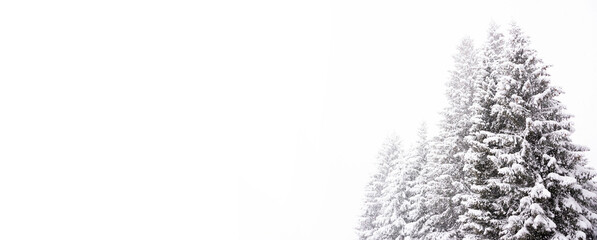 Winter web banner. Panoramic photo of trees in snow. Copy space