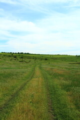 A dirt road in a field