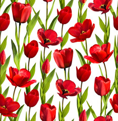 Red tulips flowers seamless pattern