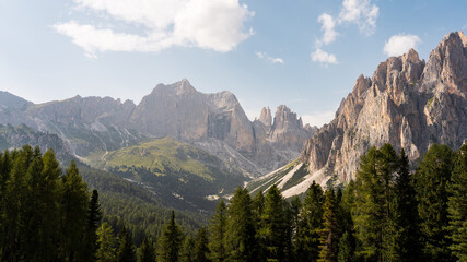 Panoramic view of the mountains surrounded by pine trees in the Dolomites. Italy