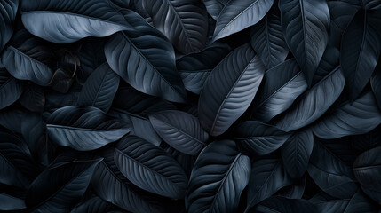 A close up of black leaves with a dark background