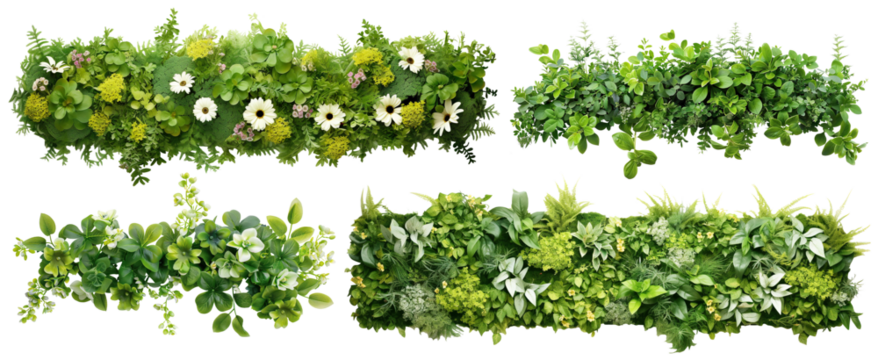 Set of green garden walls from tropical plants and flowers, cut out