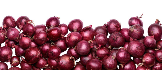 A panorama, banner, border of red onions against a white background