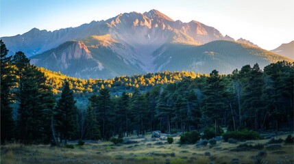 mountains in the morning The sun rises over the mountains A golden glow shines on the mountain peak covered with yellow trees and flowers. The sky is bright,Generative AI illustration.