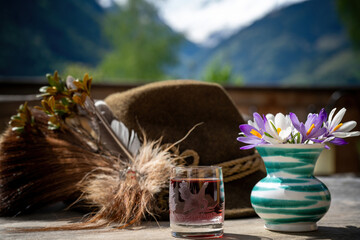 a traditional hunting hat with chamois hair and a twig from alpine roses, a vase with crocus flowers and a glass of stone pine schnapps after a happy hunt