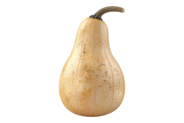 Butternut squash isolated on transparent background