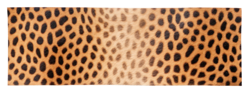 PNG Animal pattern adhesive strip leopard animal white background. AI generated Image by rawpixel.