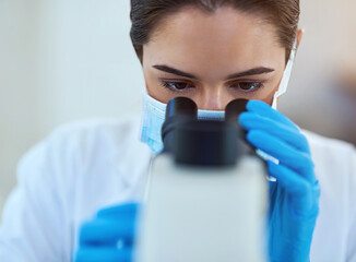 Scientist, microscope and woman in lab with analysis for medical study, innovation and stem cell...