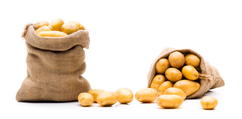Kartoffeln in einem Jutesack isoliert auf weissem Hintergrund