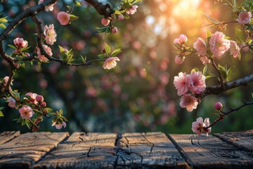 Warm sunlight flares through pink blossoms settled on an old weathered wooden table creating a picturesque spring moment