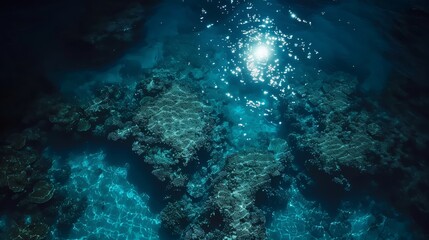 Obraz premium Moonlight on Tropical Waters, Drone footage of tropical waters lit by the full moon, highlighting the coral reefs and marine life visible through the clear, glowing surface