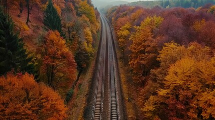 Railway through Autumn Forest, Drone footage tracing a railway line as it cuts through a dense forest in full autumn color, highlighting the vibrant contrast of nature and technology