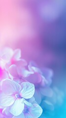 Obraz premium Close-up of a flower with a gradient background of purple, blue and pink.