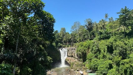 Obraz premium Vibrant Tegenungan Waterfall Surrounded by Lush Greenery in Bali