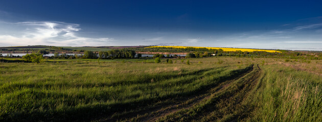 Field road. Recreational area Panorama of a vast rapeseed field. Endless fields. Yellow flower attracts bees.