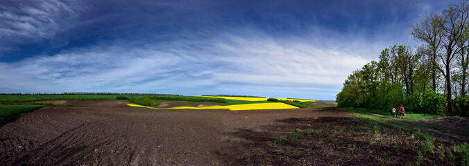 Agro-industrial fields.Spring fields of central Ukraine.Rapeseed flowering.Panorama of a vast rapeseed field.Hanging clouds along the fields.Hanging clouds along the fields.
