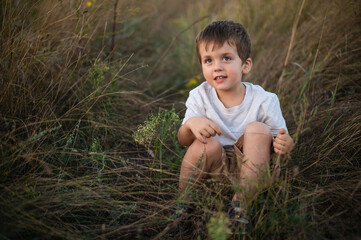 Boy 3 years old against the backdrop of the steppe at sunset, close-up portrait. Blurred image. A child against the background of hay and fields in ordinary clothes