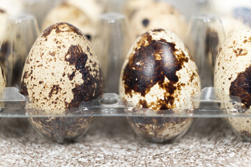 Quail eggs close-up on a gray background.